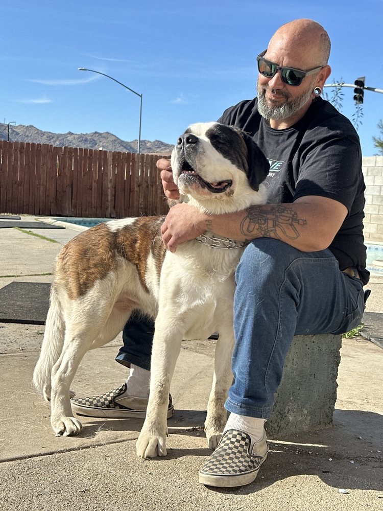 Evolve Canine Academy trainer with a trained Saint Bernard in Southern California