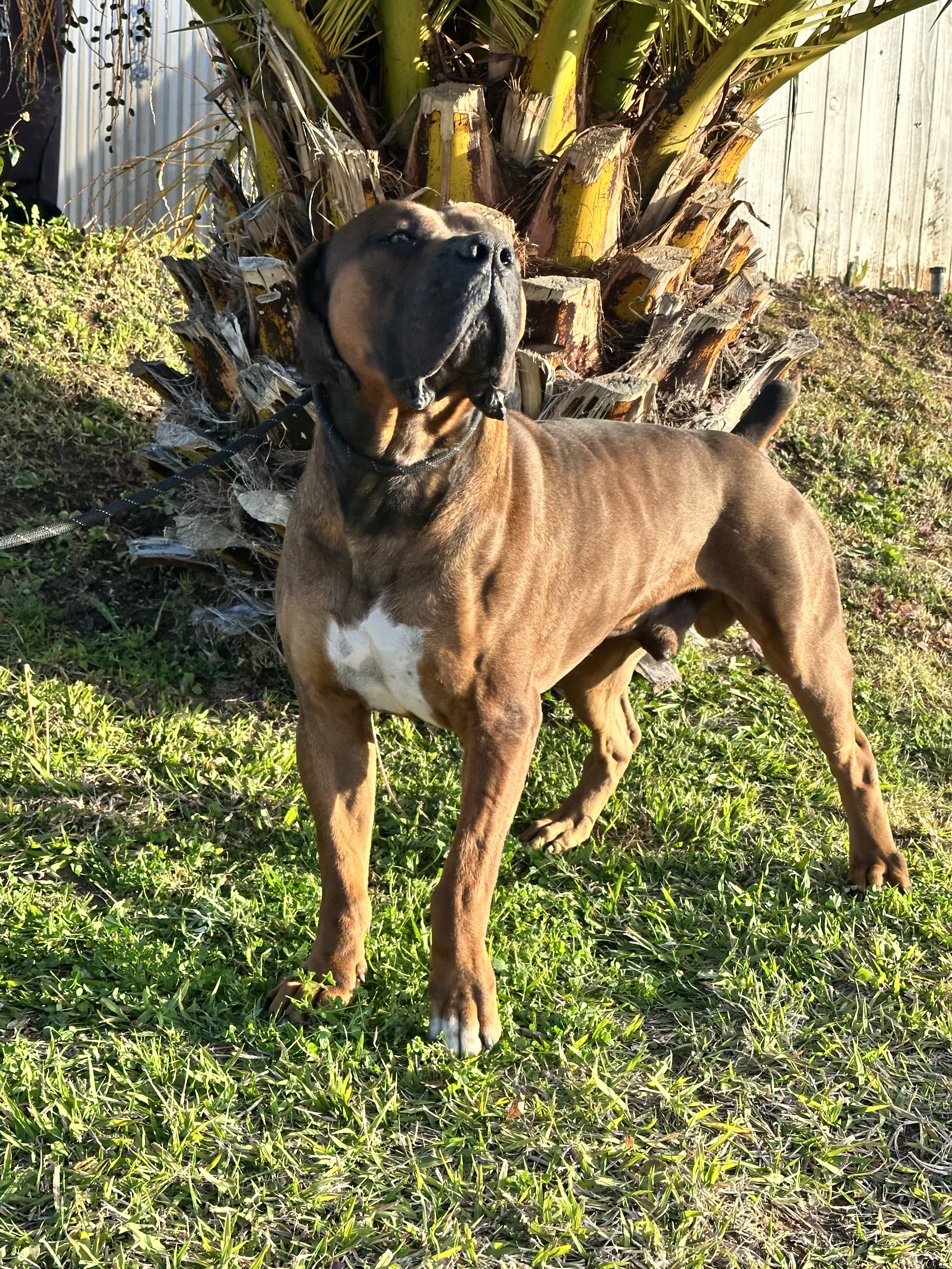 Daycare play session