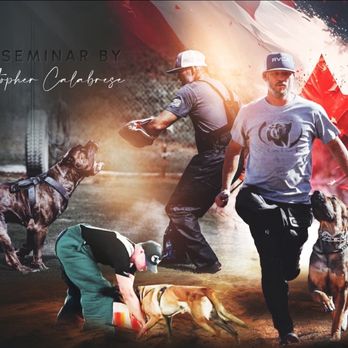 Dog training session at Evolve Canine Academy in Southern California — photo 1