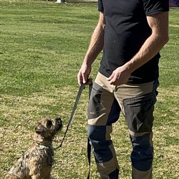 Client dog outdoors during Evolve Canine Academy training — photo 6