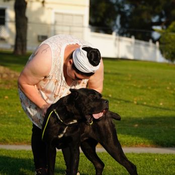 Professional canine training in Riverside and Southern California — photo 7