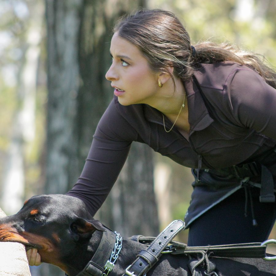 Working dog with trainer at Evolve Canine Academy — photo 110