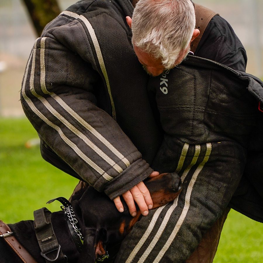 Working dog with trainer at Evolve Canine Academy — photo 118