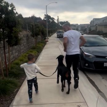 Board and train moment at Evolve Canine Academy — photo 12