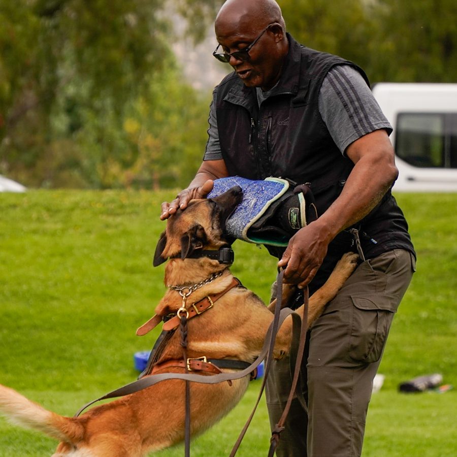 Professional canine training in Riverside and Southern California — photo 122