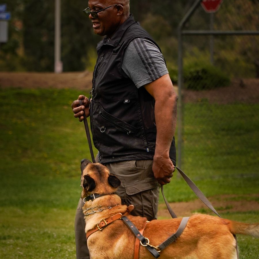 Evolve Canine Academy dog and handler training outdoors — photo 123