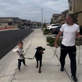 Protection training photo Evolve Canine Academy SoCal — photo 13