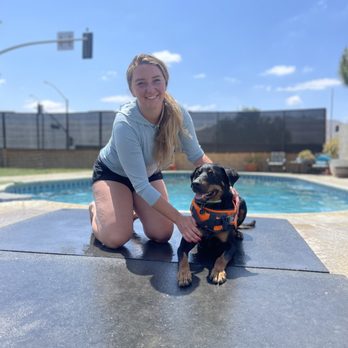 Professional canine training in Riverside and Southern California — photo 15