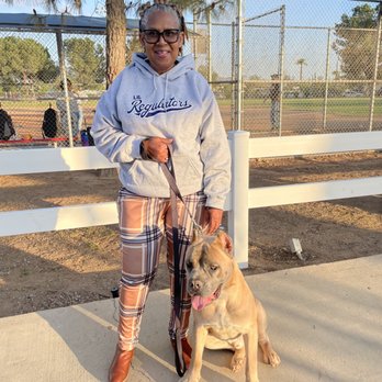 Evolve Canine Academy dog and handler training outdoors — photo 16