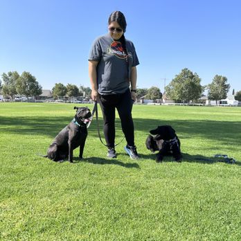 Dog training session at Evolve Canine Academy in Southern California — photo 17
