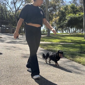 Obedience training photo from Evolve Canine Academy — photo 18