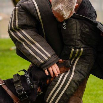 Evolve Canine Academy dog and handler training outdoors — photo 24