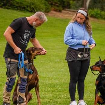 Working dog with trainer at Evolve Canine Academy — photo 27