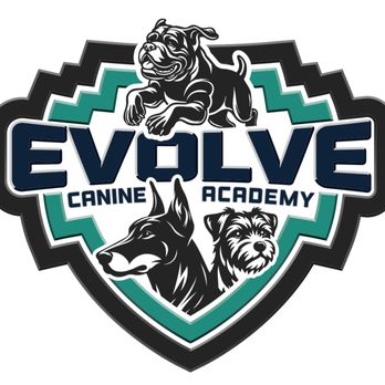 Client dog outdoors during Evolve Canine Academy training — photo 30