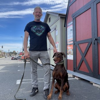 Professional canine training in Riverside and Southern California — photo 31