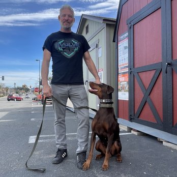 Evolve Canine Academy dog and handler training outdoors — photo 40