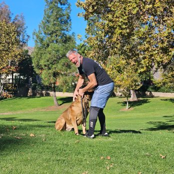 Protection training photo Evolve Canine Academy SoCal — photo 45