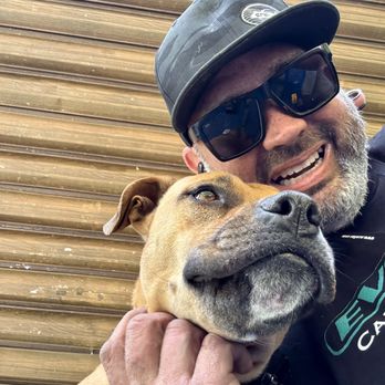 Board and train moment at Evolve Canine Academy — photo 60