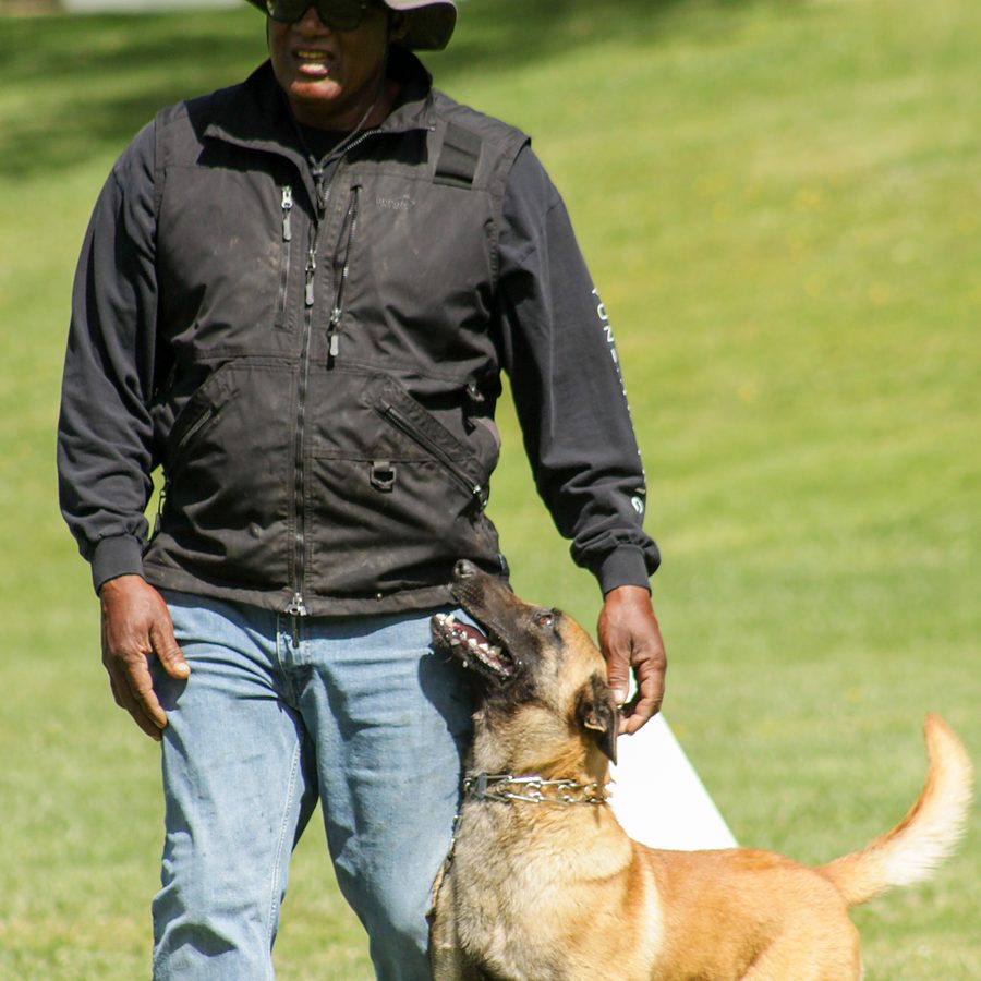 Professional canine training in Riverside and Southern California — photo 74