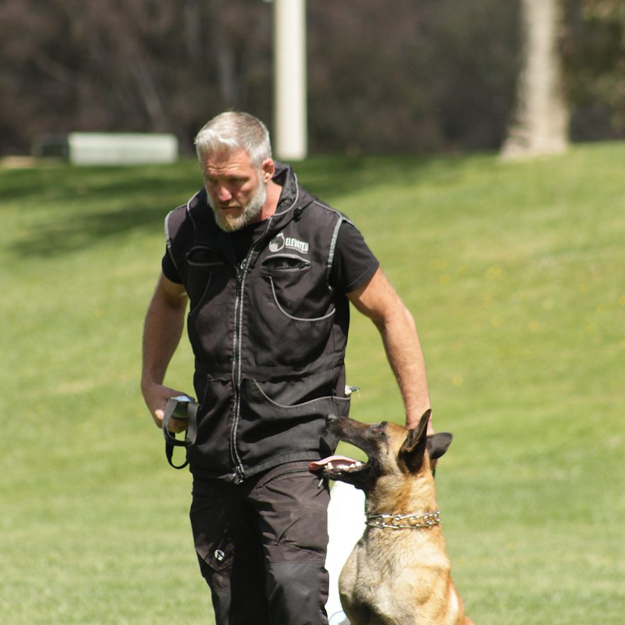 Evolve Canine Academy dog and handler training outdoors — photo 75