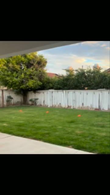 Training reel: grass and text — posted July 24, 2026 — Evolve Canine Academy on Instagram