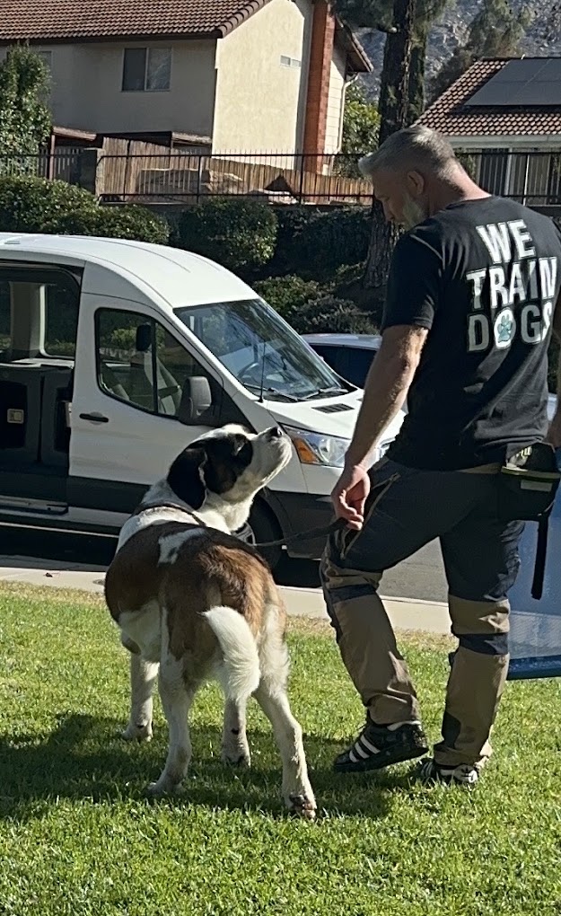 Board and train handler with dog beside transport van
