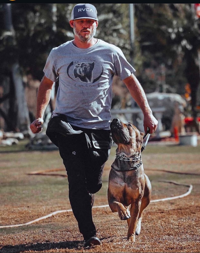 Handler and Cane Corso in sport training heeling drill